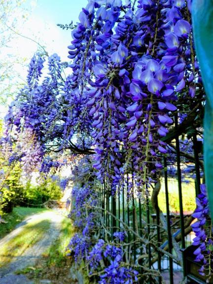 La Torretta Bed & Breakfast Torriglia Exteriér fotografie